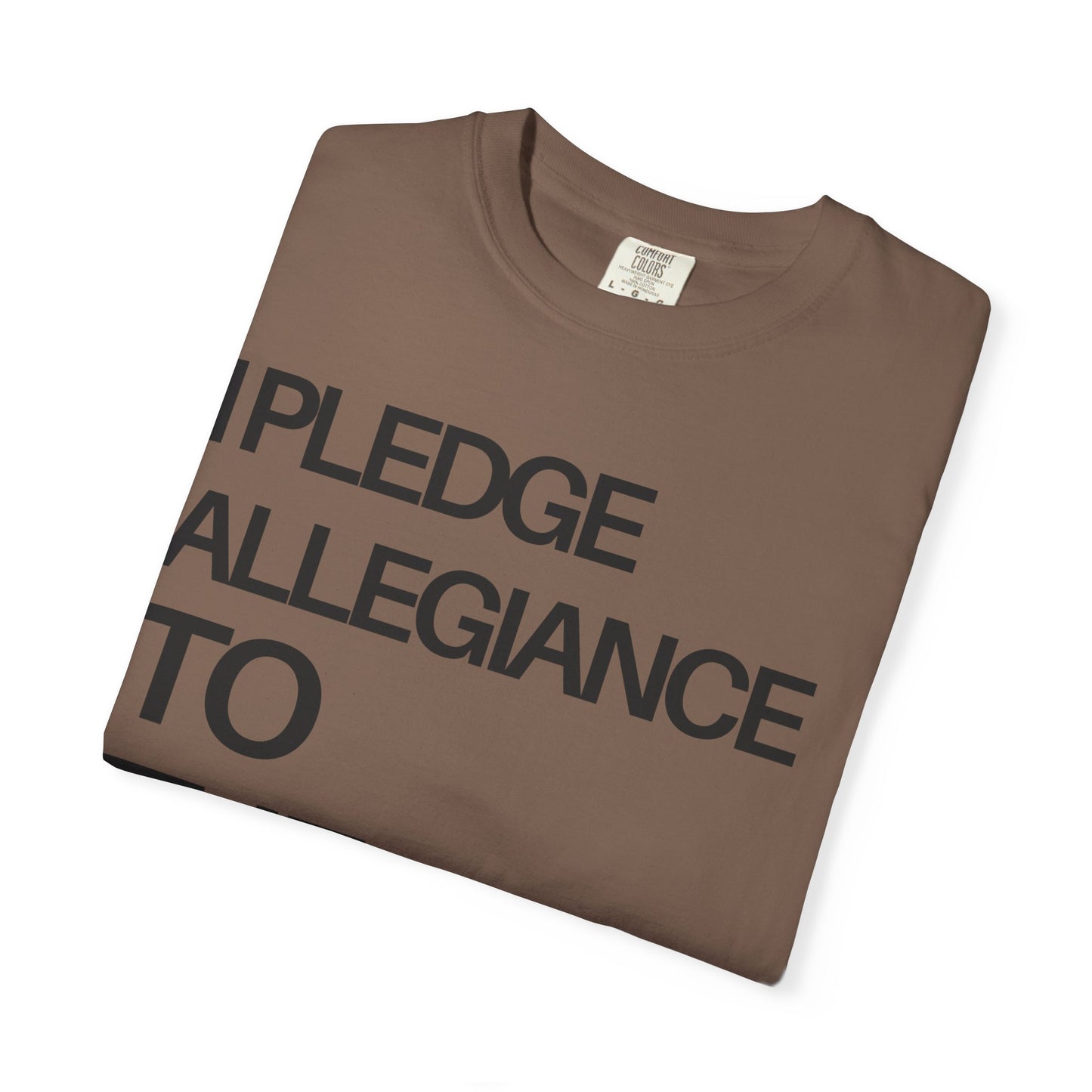 Front Side - I Pledge Allegiance To The Cross (Unisex Garment-Dyed T-shirt)